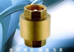 玉環縣金牛閥業制造廠 專注法蘭式鴨嘴閥的專業制造