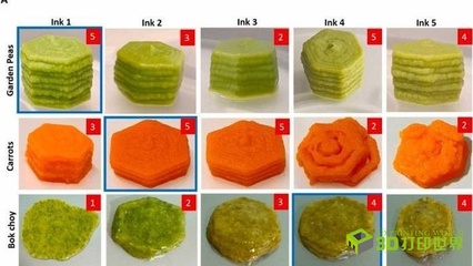 新研發(fā)的3D打印食品可保留和冷凍蔬菜的營(yíng)養(yǎng)和風(fēng)味